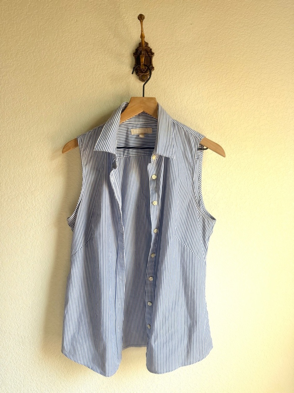 Banana Republic Blue and White Striped Sleeveless Button-Down Top